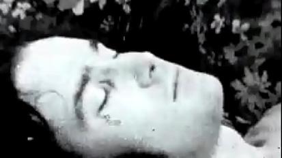 Dark lantern entertainment presents vintage mothers from my secret life the erotic confessions of a victorian english gentleman