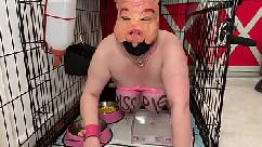 Fuckpig porn justafilthycunt humiliating degradation pig pissing caged piss drinking and eating from bowls
