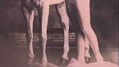 Vintage erotic drawings