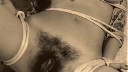 My secret life vintage bondage