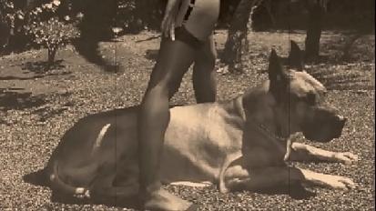 Dark lantern entertainment presents vintage petmania 