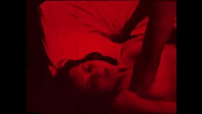 The wonderful world of vintage pornography